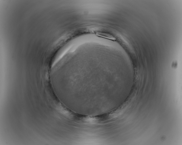 X0000091010313200708162004