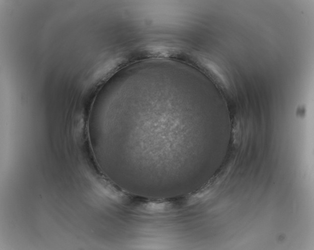 X0000091010314200708162003