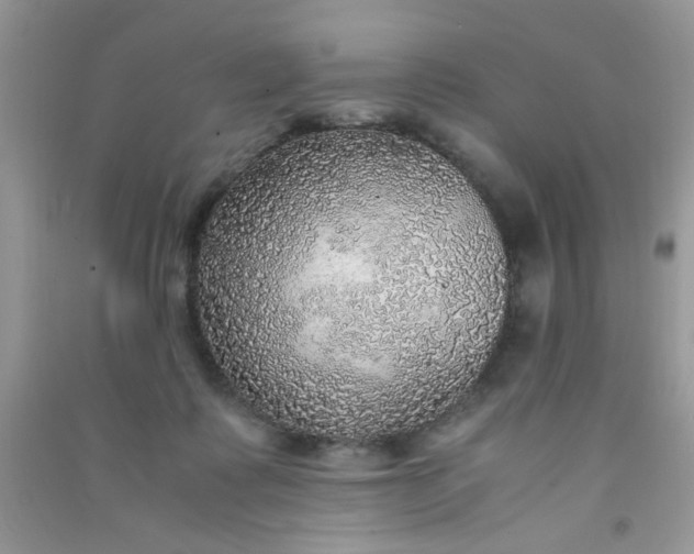 X0000091010315200708162003