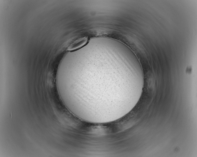 X0000091010316200708162003