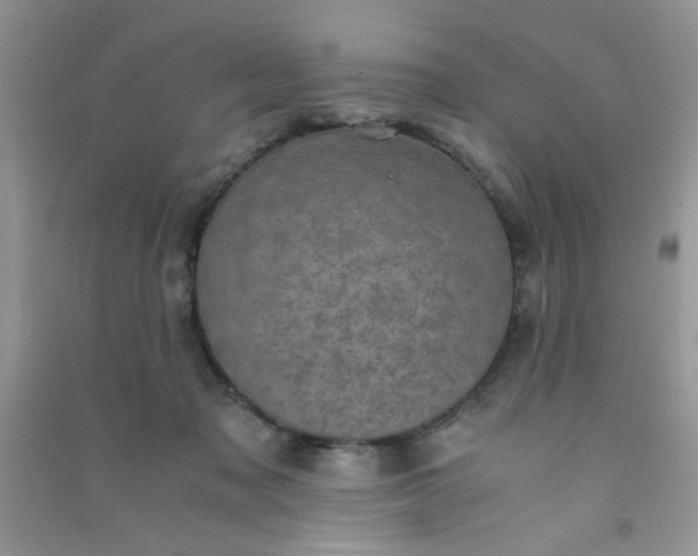 X0000091010317200708162003