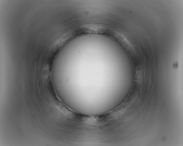 X0000091010318200708162003