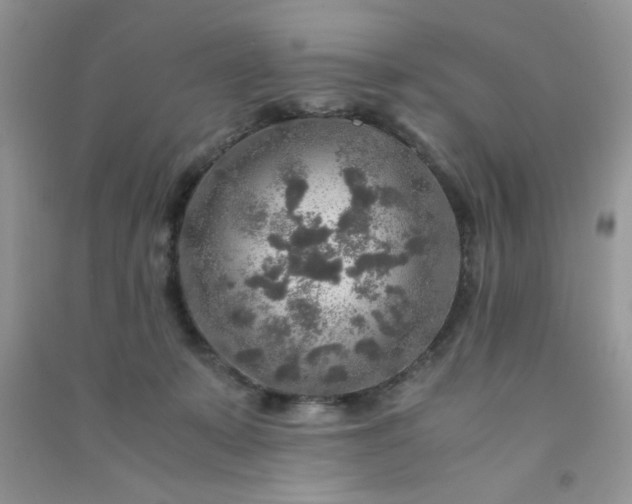 X0000091010319200708162003