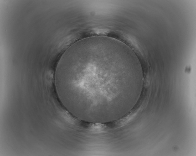 X0000091010321200708162003