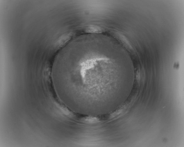 X0000091010322200708162003