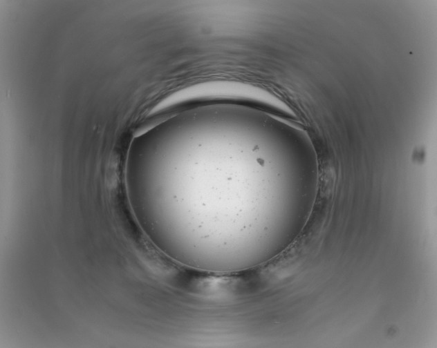 X0000091010323200708162003