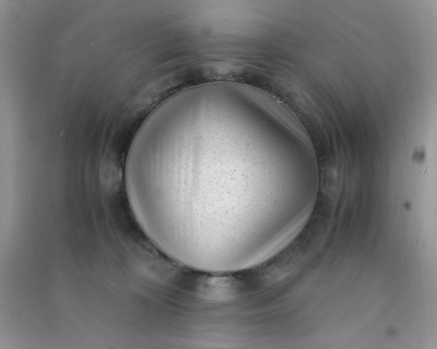 X0000091010324200708162003