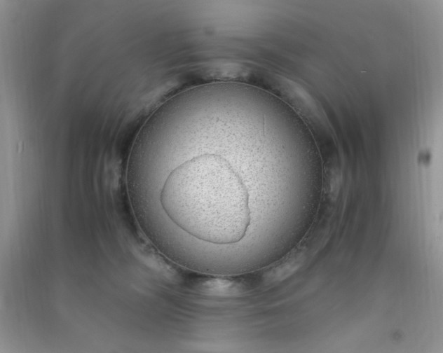 X0000091010326200708162003