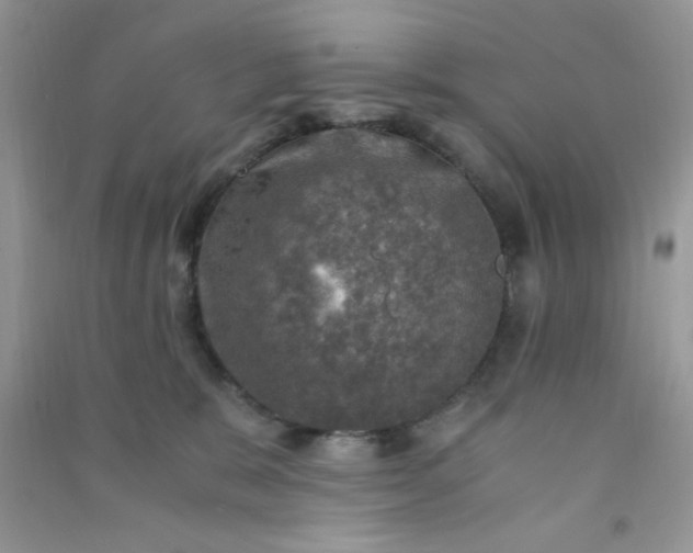 X0000091010327200708162003