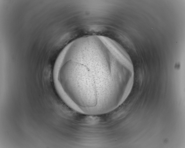 X0000091010328200708162003