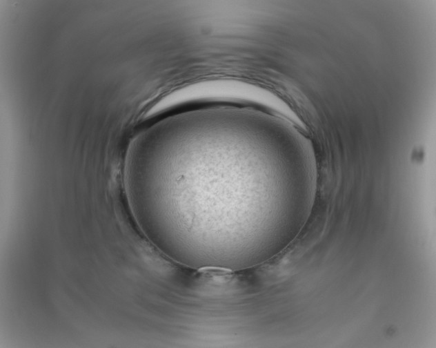 X0000091010329200708162003