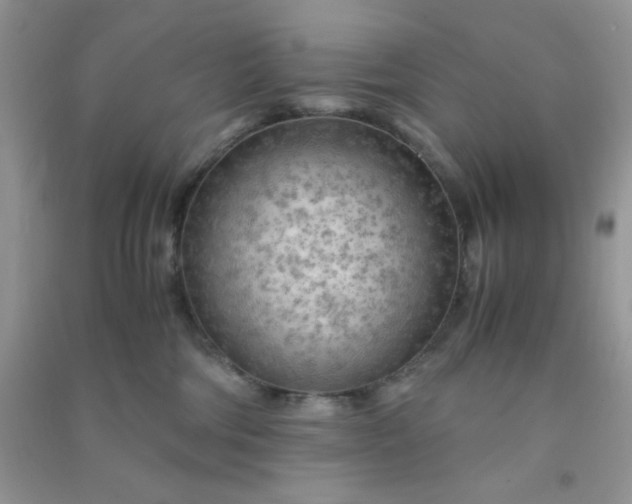 X0000091010330200708162003