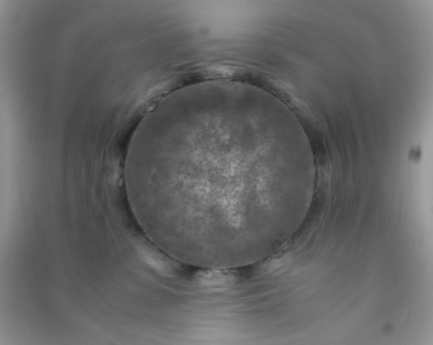 X0000091010331200708162003