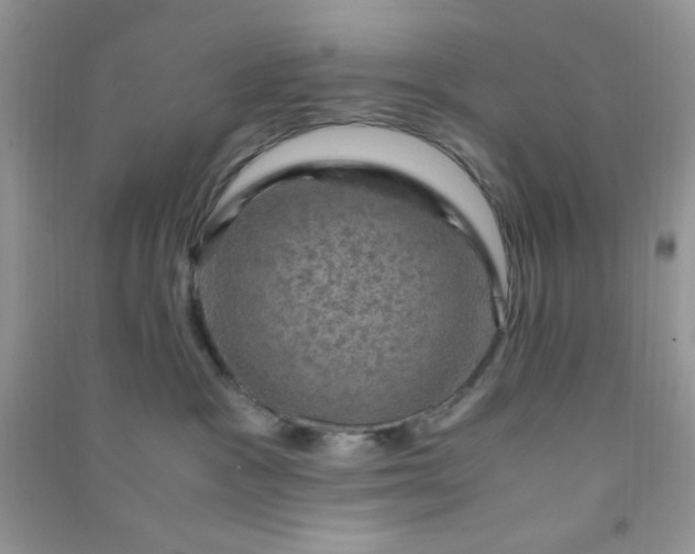 X0000091010333200708162003