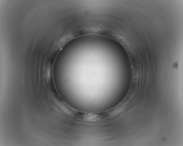 X0000091010334200708162003