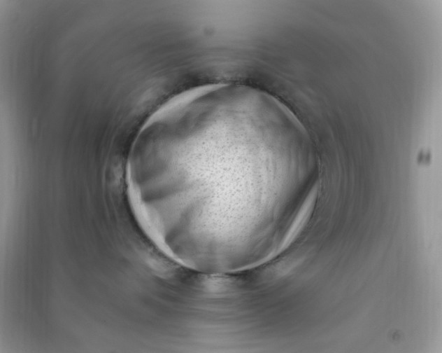 X0000091010336200708162003