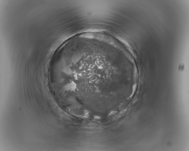 X0000091010337200708162003