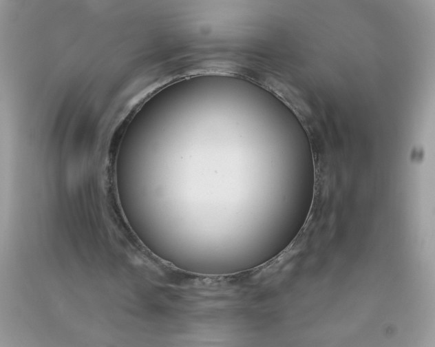 X0000091010338200708162003