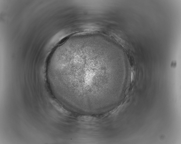 X0000091010339200708162003