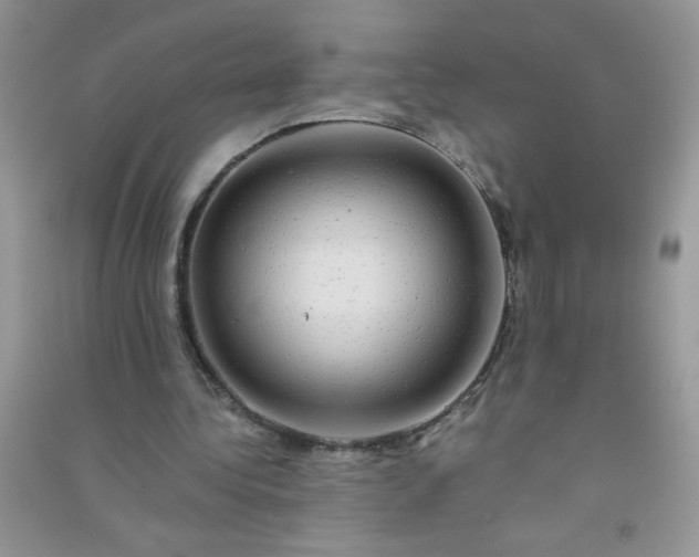 X0000091010340200708162003