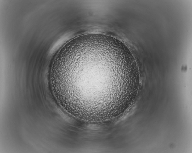 X0000091010341200708162003