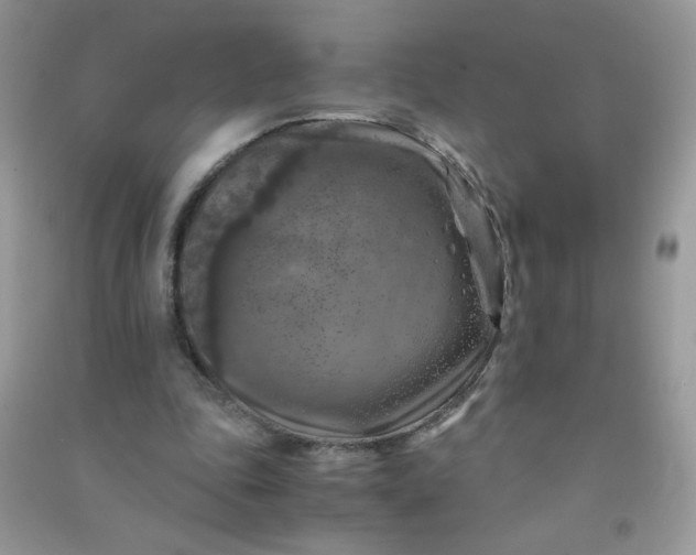 X0000091010343200708162003