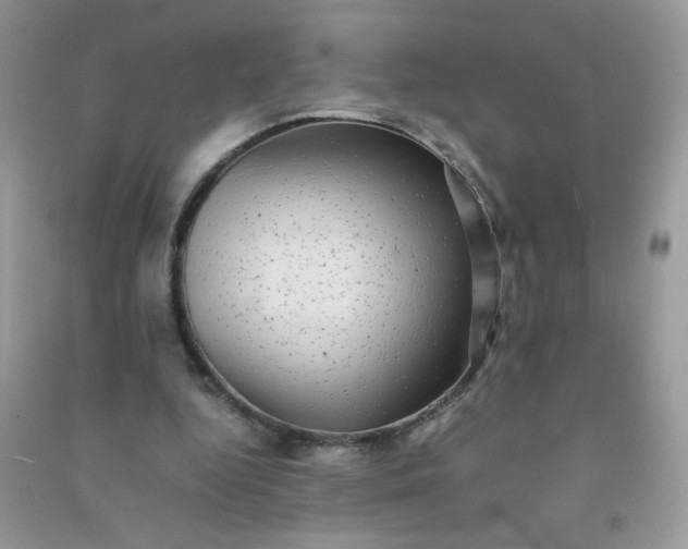 X0000091010344200708162003