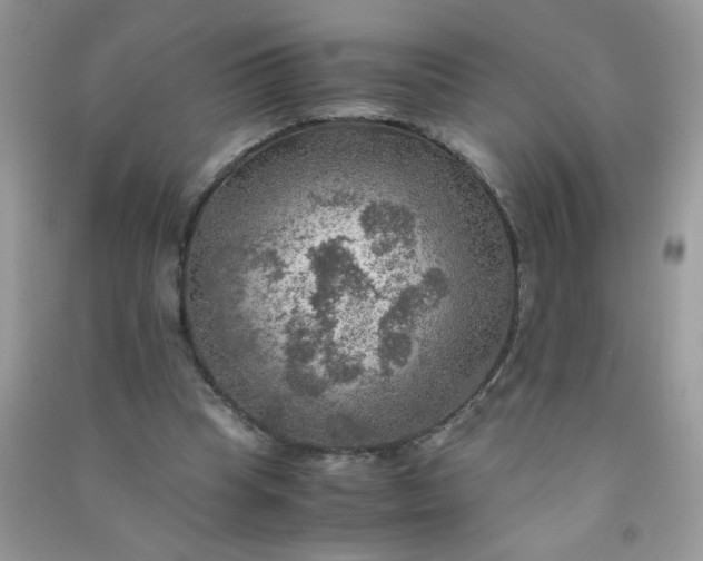 X0000091010345200708162003