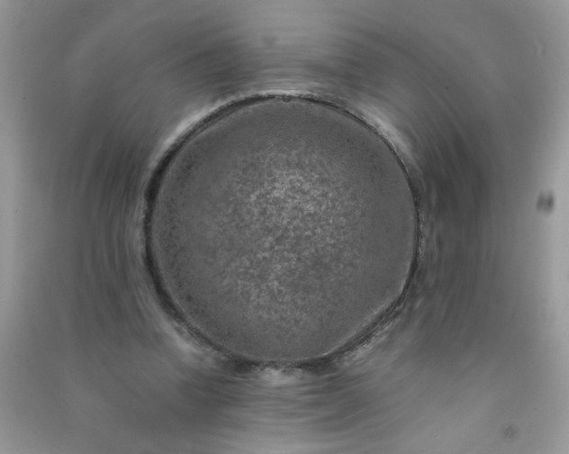 X0000091010346200708162003