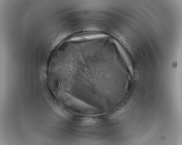 X0000091010347200708162003