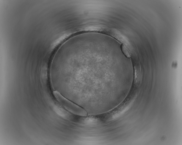 X0000091010348200708162003