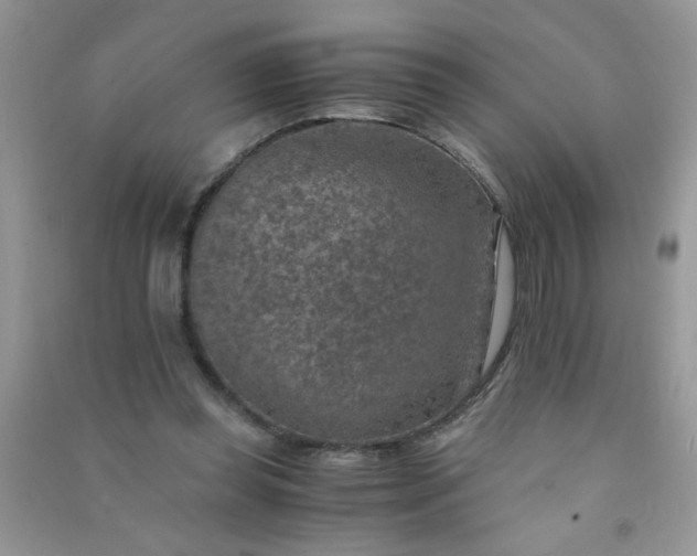 X0000091010349200708162003