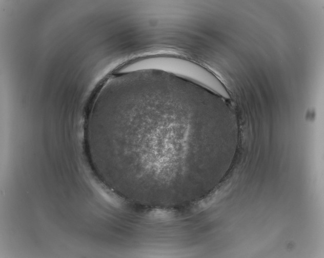 X0000091010350200708162003