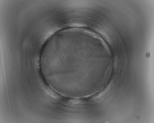 X0000091010351200708162003