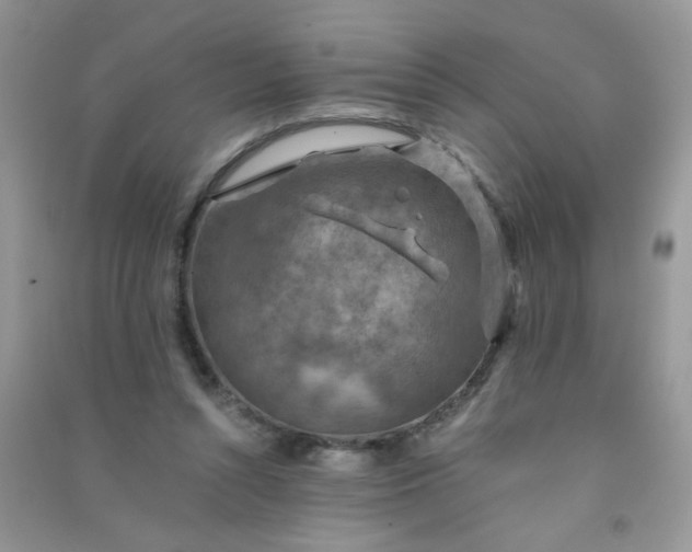 X0000091010352200708162003