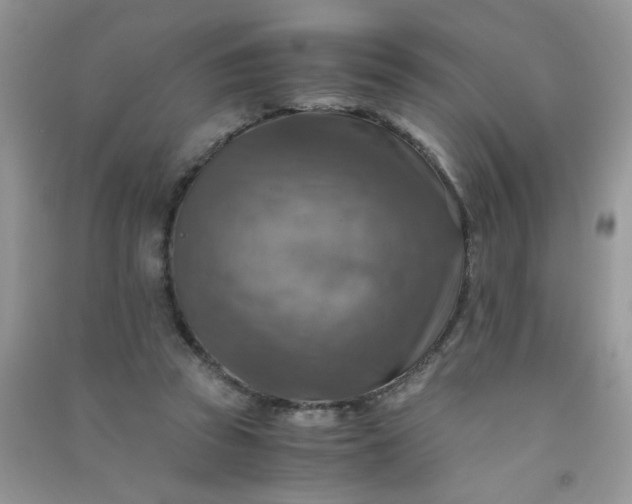 X0000091010353200708162003