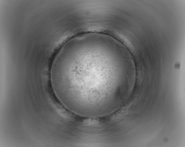 X0000091010354200708162003