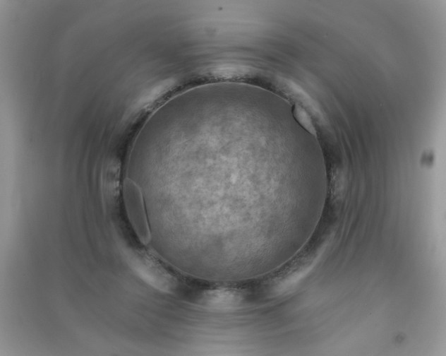 X0000091010356200708162003