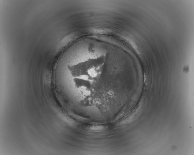 X0000091010357200708162003