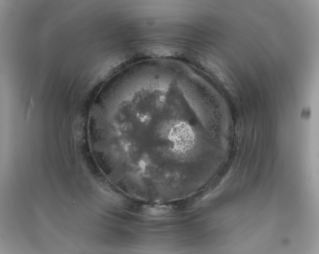 X0000091010359200708162003