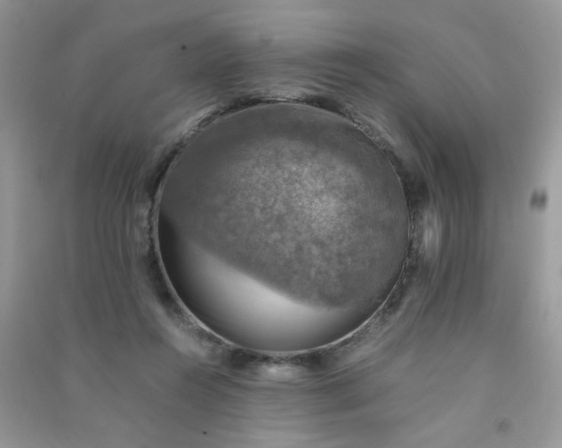 X0000091010360200708162003