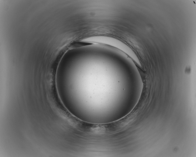 X0000091010362200708162003