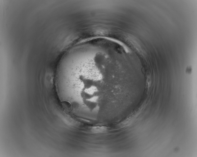 X0000091010363200708162003