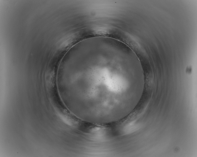 X0000091010364200708162003