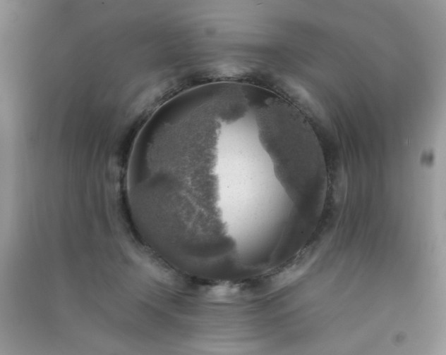 X0000091010366200708162003