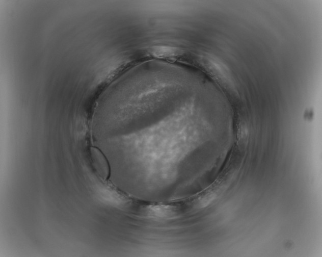 X0000091010367200708162003