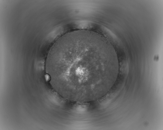 X0000091010368200708162003