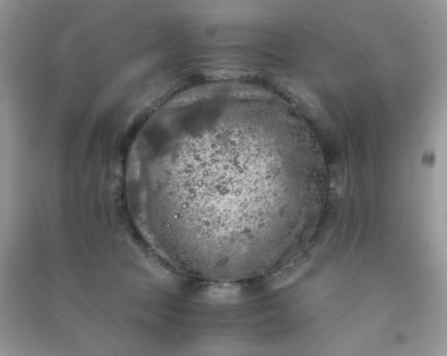 X0000091010369200708162003