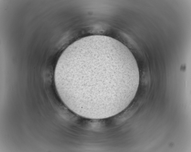 X0000091010370200708162003