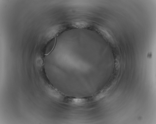 X0000091010371200708162003